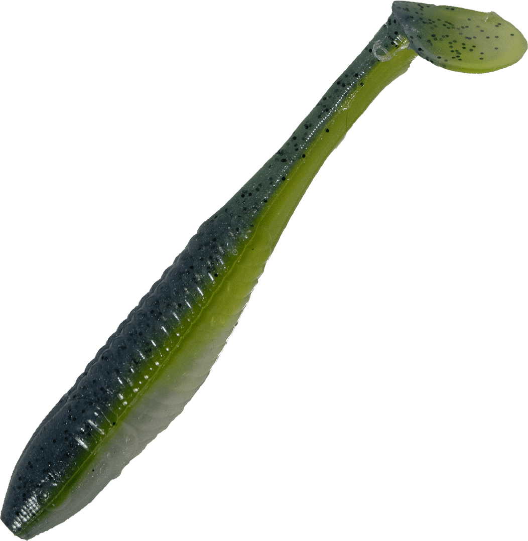 BAMBINO